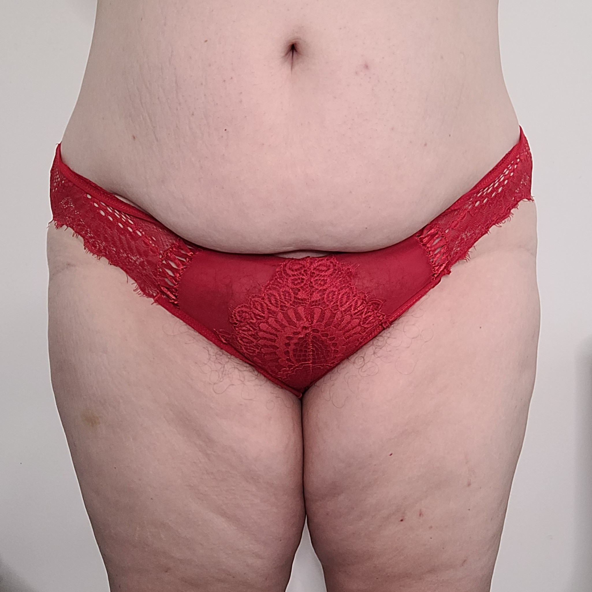 Red Lace and Mesh Panties